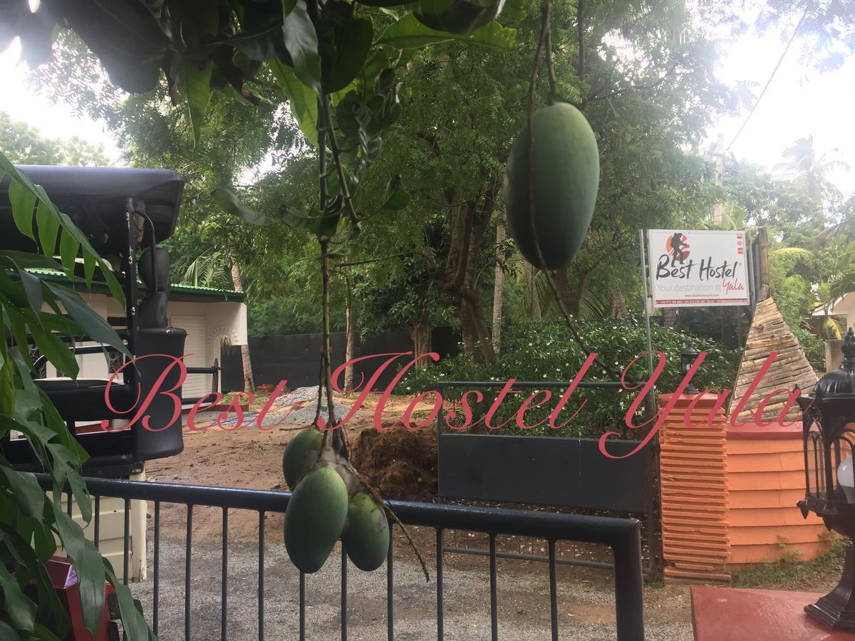 Best Hostel Yala Tissamaharama Ngoại thất bức ảnh